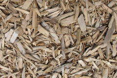 biomass boilers Ardchonnell